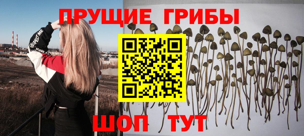 Галлюциногенные грибы ЛСД  Вход с VPN  Туймазы  Псилоцибиновые грибы мицелий 